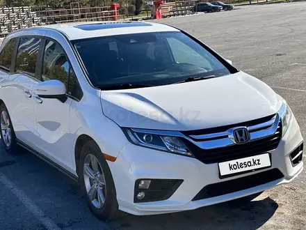 Honda Odyssey 2018 года за 16 700 000 тг. в Шымкент