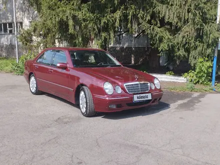 Mercedes-Benz E 240 1999 года за 6 900 000 тг. в Алматы