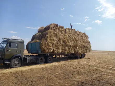 КамАЗ  65116 2024 года за 7 500 000 тг. в Уральск – фото 5