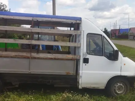 Fiat Ducato 1996 года за 2 200 000 тг. в Щучинск – фото 5