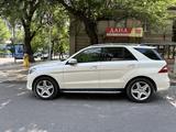 Mercedes-Benz ML 350 2012 года за 13 000 000 тг. в Алматы – фото 3
