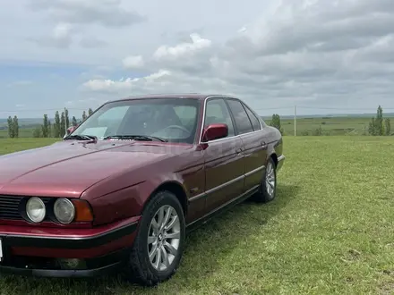 BMW 525 1992 годаүшін1 570 000 тг. в Шымкент – фото 2