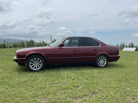BMW 525 1992 годаүшін1 570 000 тг. в Шымкент – фото 3