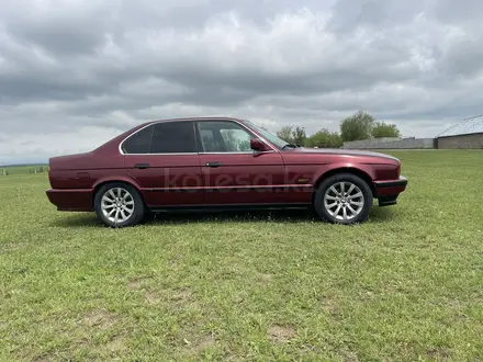 BMW 525 1992 годаүшін1 570 000 тг. в Шымкент – фото 5