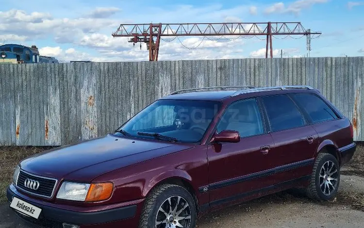 Audi 100 1992 года за 2 000 000 тг. в Петропавловск