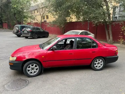 Toyota Corolla 1994 года за 650 000 тг. в Алматы – фото 3