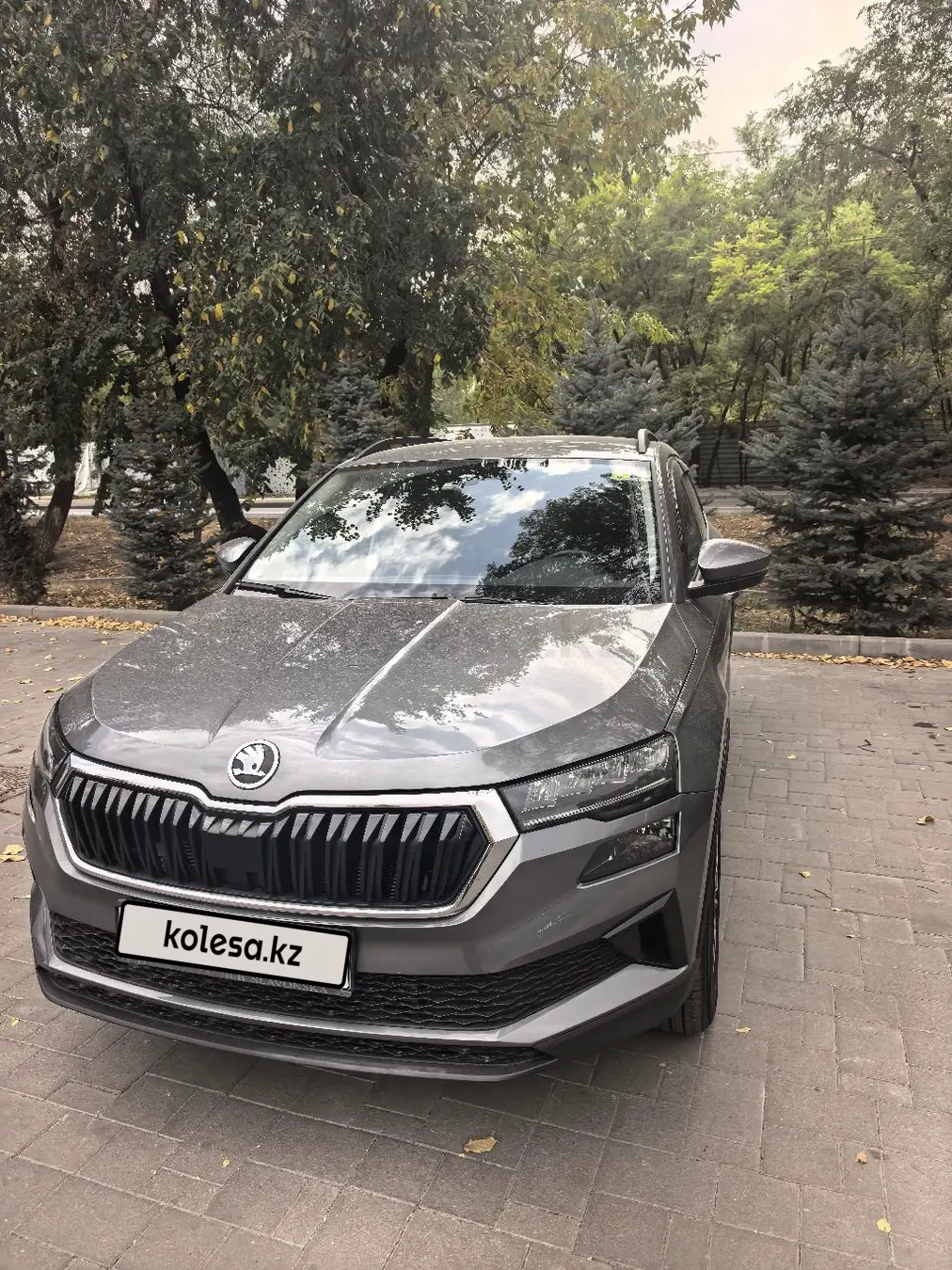 Skoda Karoq, 2022