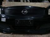 МОРДА ~ НОУСКАТ ~ NISSAN SKYLINE V36. НОУСКАТ МИНИ за 300 000 тг. в Усть-Каменогорск – фото 3