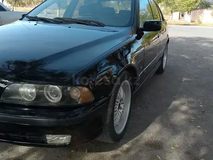 BMW 523 1996 года за 2 400 000 тг. в Кордай – фото 10