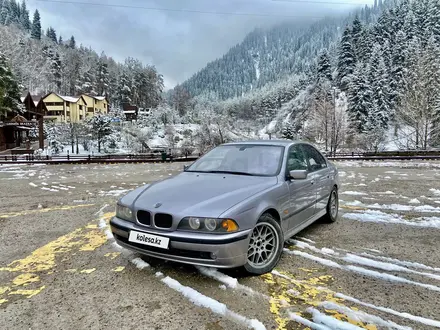 BMW 525 1996 года за 2 900 000 тг. в Тараз