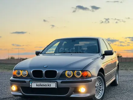 BMW 525 2001 года за 3 500 000 тг. в Шымкент – фото 2
