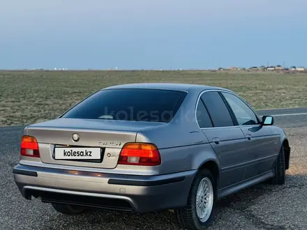 BMW 525 2001 года за 3 500 000 тг. в Шымкент – фото 11
