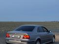 BMW 525 2001 года за 3 500 000 тг. в Шымкент – фото 12