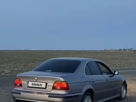 BMW 525 2001 года за 3 500 000 тг. в Шымкент – фото 12