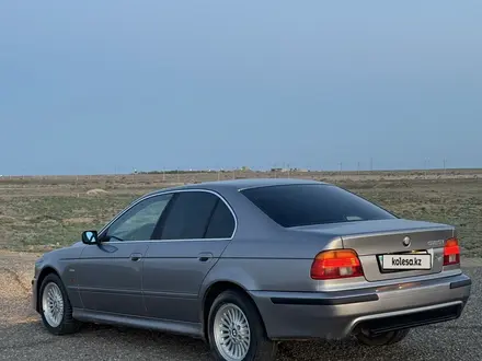 BMW 525 2001 года за 3 500 000 тг. в Шымкент – фото 13