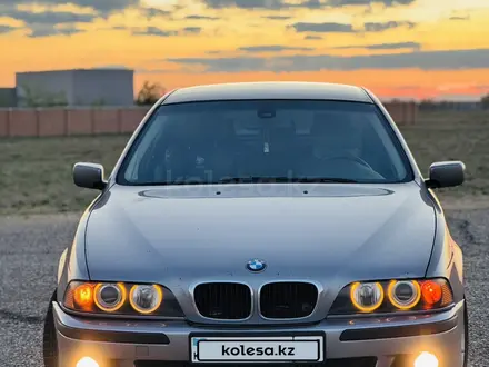 BMW 525 2001 года за 3 500 000 тг. в Шымкент – фото 3