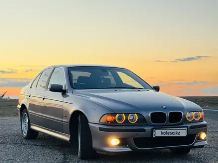 BMW 525 2001 года за 3 500 000 тг. в Шымкент – фото 4