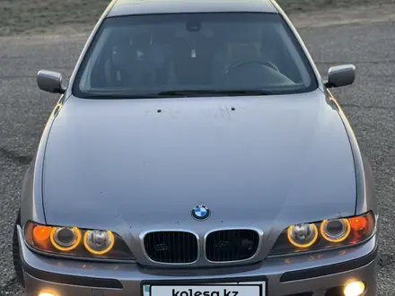 BMW 525 2001 года за 3 500 000 тг. в Шымкент – фото 6