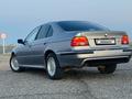 BMW 525 2001 года за 3 500 000 тг. в Шымкент – фото 7