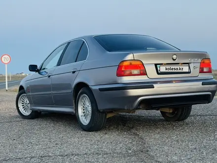 BMW 525 2001 года за 3 500 000 тг. в Шымкент – фото 7