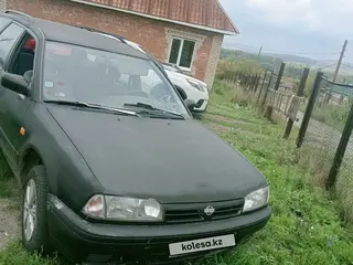 Nissan Primera