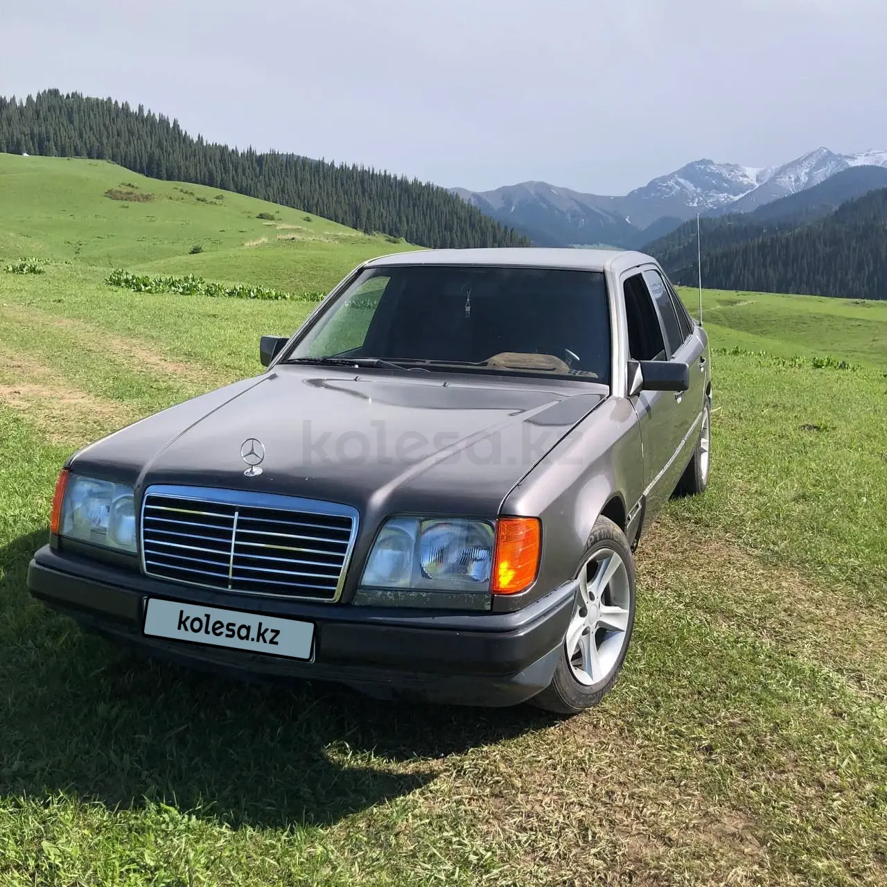Mercedes-Benz E-Class, 1994