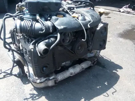 Мотор Двигатель субару форестер ej205 за 150 000 тг. в Алматы – фото 6