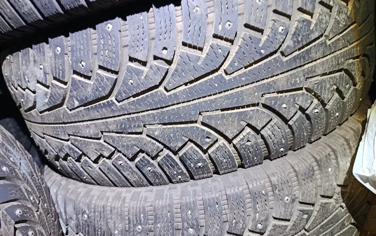 Nokian за 125 000 тг. в Павлодар