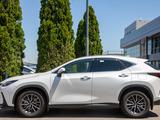Lexus NX 250 Executive 2022 года за 22 500 000 тг. в Алматы – фото 4