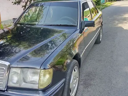 Mercedes-Benz E 230 1992 года за 980 000 тг. в Шымкент