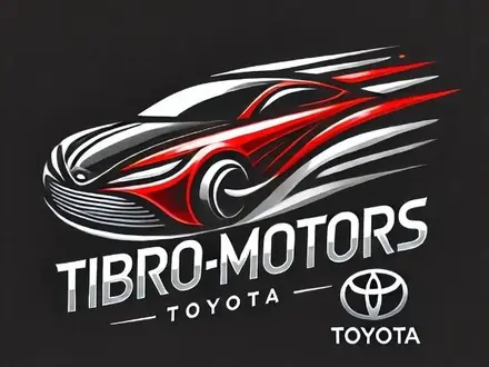 Tibro Motors в Алматы
