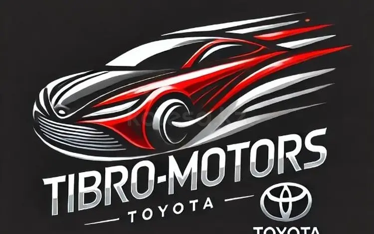 Tibro Motors в Алматы