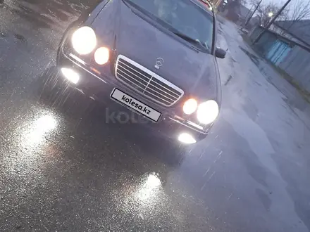 Mercedes-Benz E 55 AMG 2001 года за 4 500 000 тг. в Тараз – фото 6