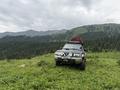 Nissan Patrol 1998 года за 5 800 000 тг. в Алматы – фото 17