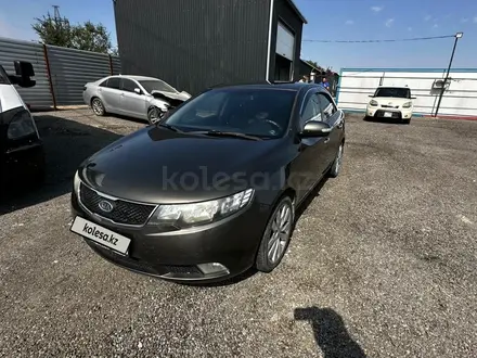 Kia Cerato 2010 года за 3 722 000 тг. в Алматы – фото 4