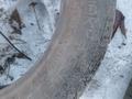 2 покрышки R16 за 10 000 тг. в Усть-Каменогорск – фото 4