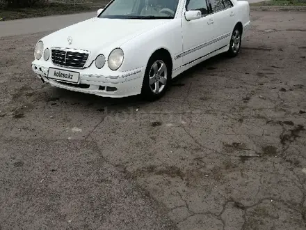 Mercedes-Benz E 240 2000 года за 3 900 000 тг. в Караганда – фото 2