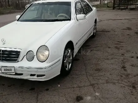 Mercedes-Benz E 240 2000 года за 3 900 000 тг. в Караганда – фото 3