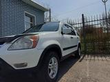 Honda CR-V 2003 года за 6 000 000 тг. в Алматы – фото 3