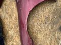 Крыло переднее за 10 000 тг. в Караганда – фото 7