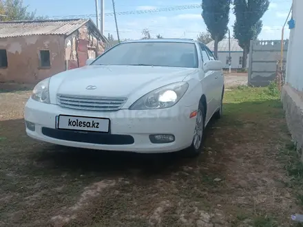 Lexus ES 300 2002 года за 5 800 000 тг. в Тараз – фото 9