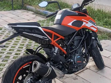 KTM  250 Duke 2017 года за 1 700 000 тг. в Алматы – фото 3