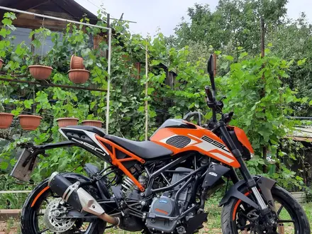 KTM  250 Duke 2017 года за 1 700 000 тг. в Алматы