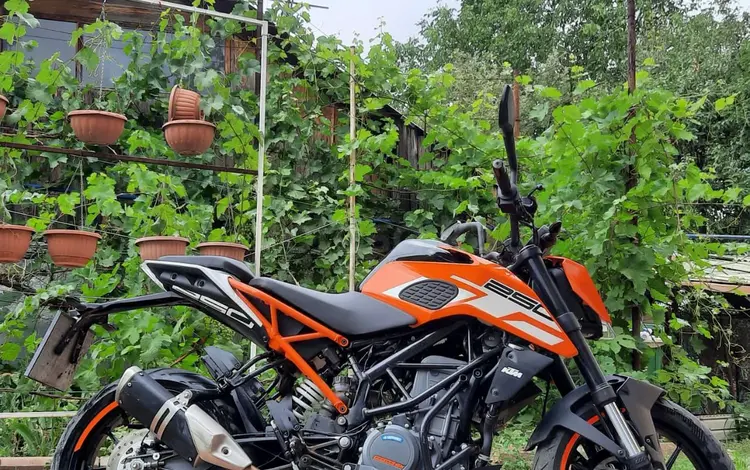 KTM  250 Duke 2017 года за 1 700 000 тг. в Алматы
