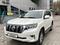 Toyota Land Cruiser Prado 2011 года за 16 000 000 тг. в Алматы