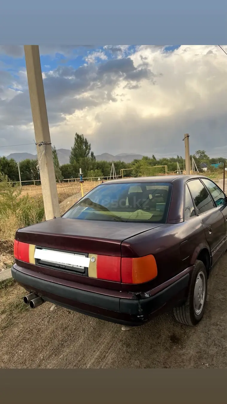 Audi 100, 1991