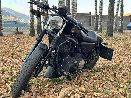 Harley-Davidson  Sportster 883 2010 года за 3 300 000 тг. в Алматы – фото 3