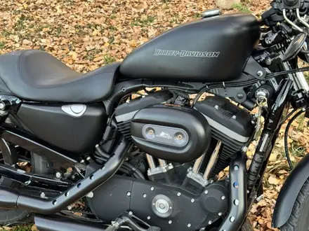 Harley-Davidson  Sportster 883 2010 года за 3 300 000 тг. в Алматы – фото 16