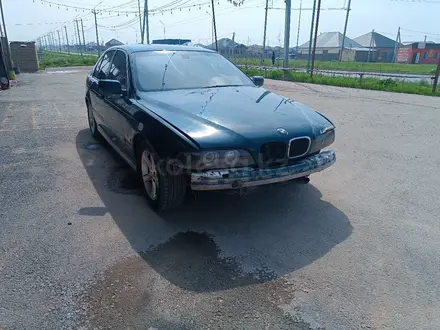 BMW 523 1998 года за 1 850 000 тг. в Шымкент – фото 2
