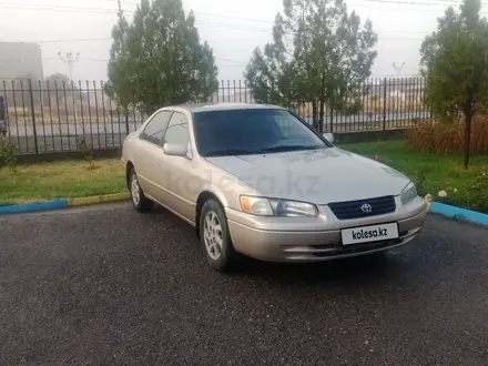 Toyota Camry 1999 года за 3 200 000 тг. в Шымкент